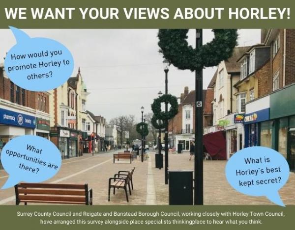 Picture advertising survey on Horley views