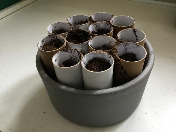 Toilet roll tubes filled with compost