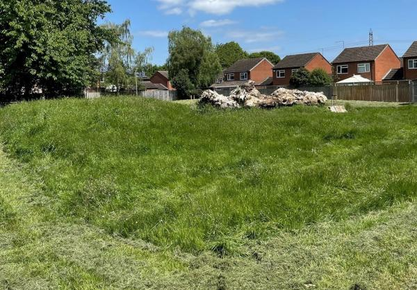 Image of a 'Let it Bee' area on Fleetmeadow