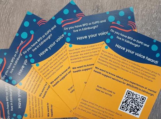 A bundle of leaflets about the much more than a label survey spread out on a table