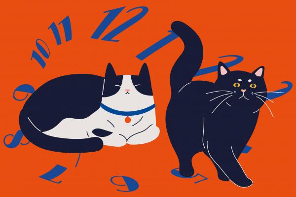 A graphic of two cats