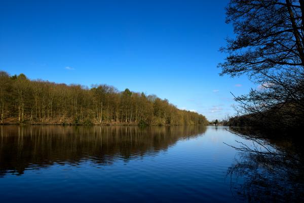 An image of the lake at Newmillerdam