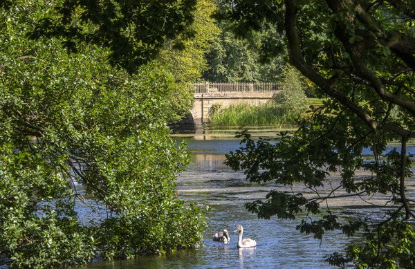 Newmillerdam