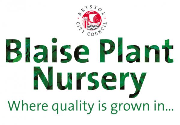 words: Blaise Plant Nursery- where quality is grown in...