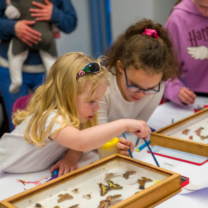 Two young girls looking at two cases of preserved butterflies 