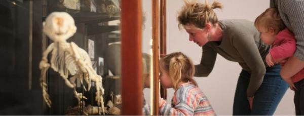 A woman and her daughter looking in a display case with a seal skeleton