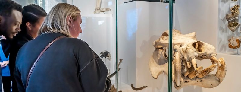 A family of three people looking at an exhibition case with a large hippo skull in it. 