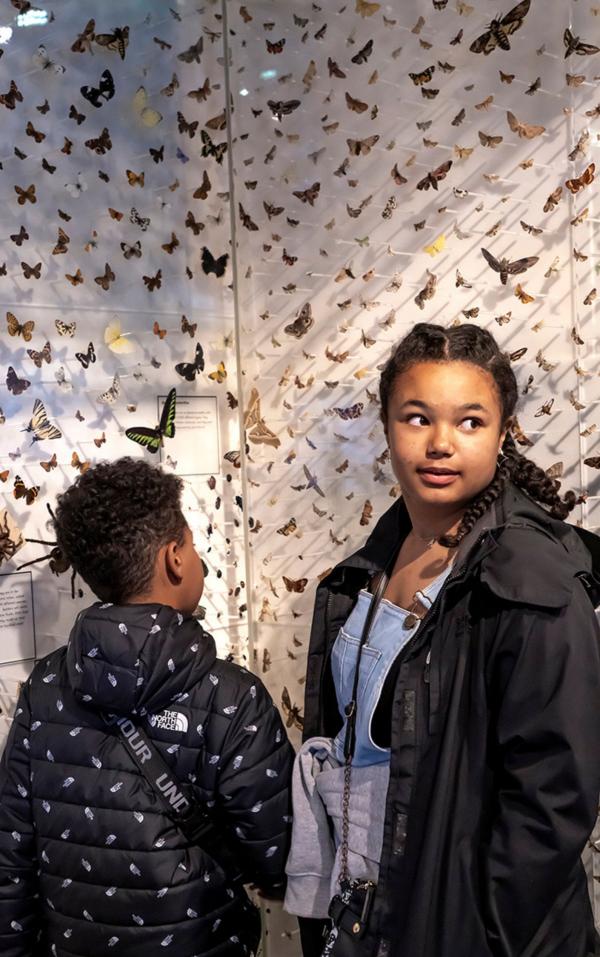 Two children, a boy and a girl, looking around. The walls behind them are covered in preserved butterflies.