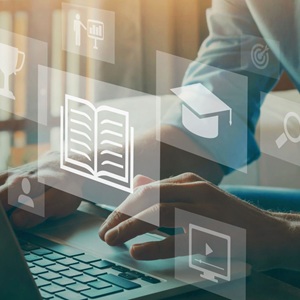 Image for data catalogue story