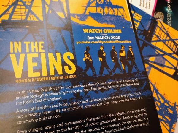 Promotional leaflets for In the Veins film