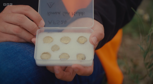 Close up of a person's hands holding a small plastic archaeology box containing 7 Roman coin counterfeit moulds