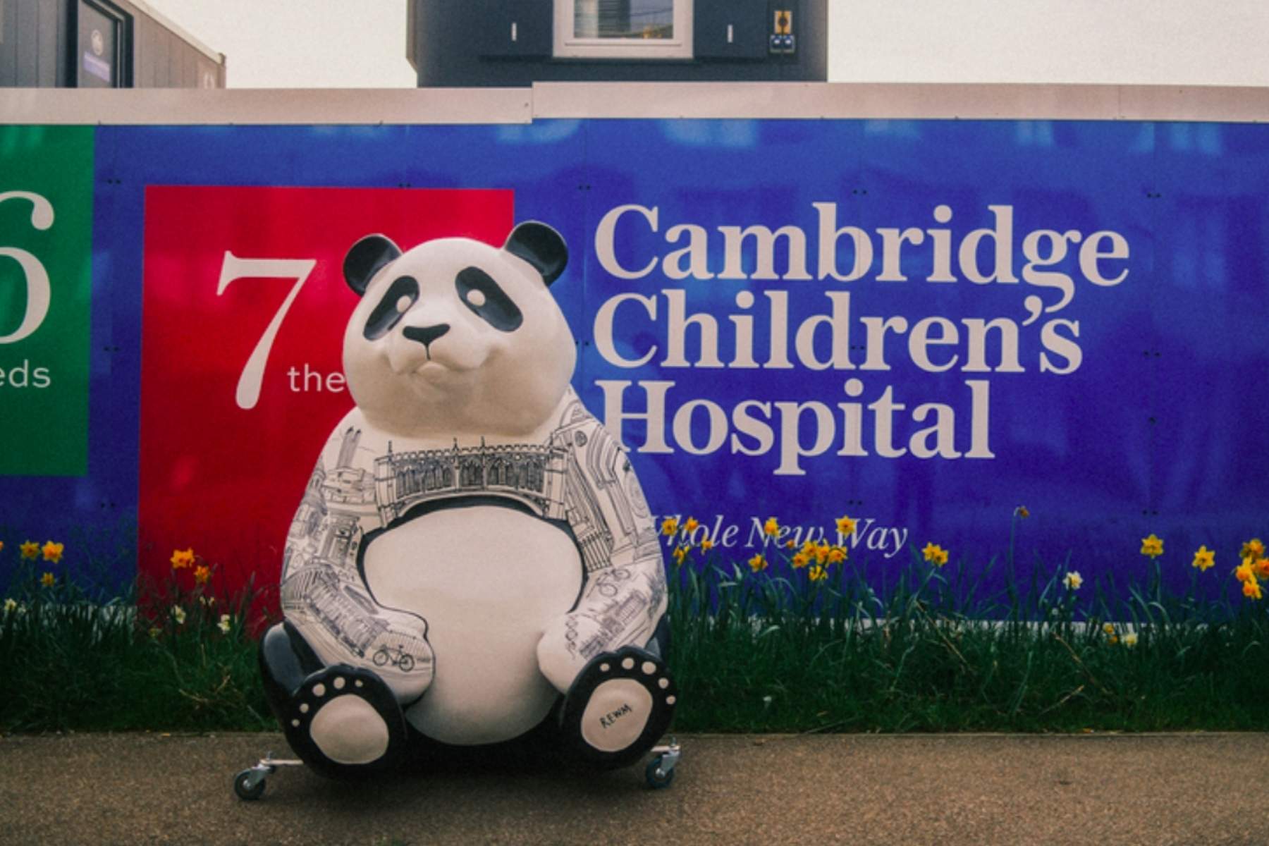 A giant fibreglass panda painting with black and white drawings of Cambridge. He is sitting in front of the Cambridge Children's Hospital hoardings by the construction site, with lots of daffodils. 