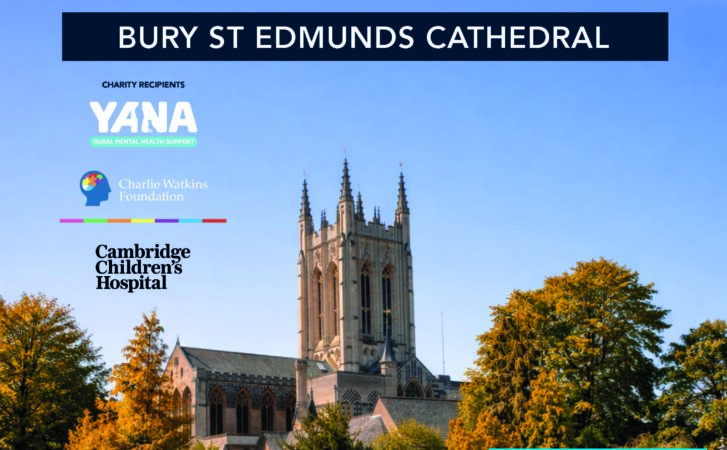 A photo of Bury St Edmunds Cathedral on a sunny day with big trees around it