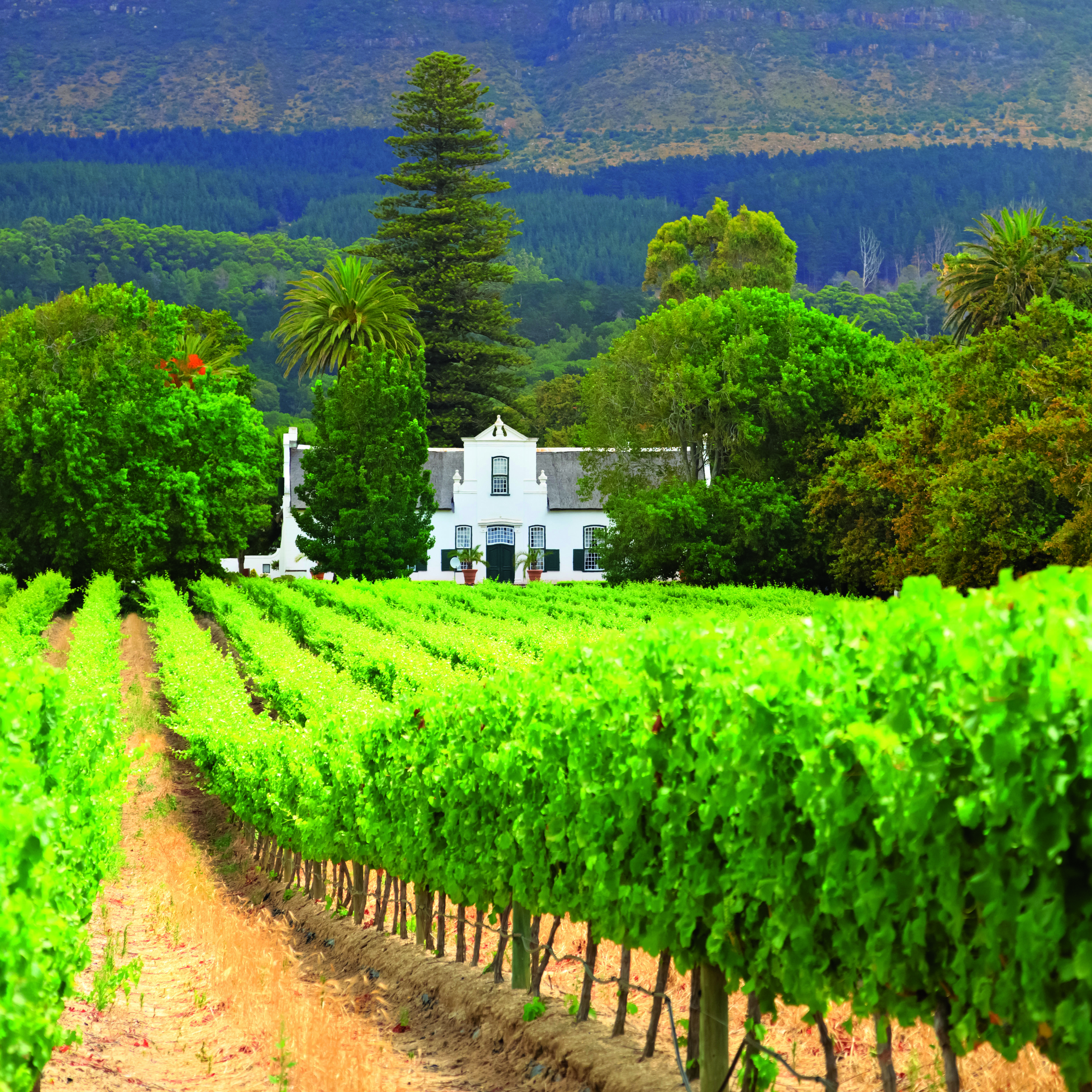 South africa Escorted Tours
